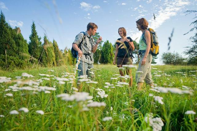 Nengshof Ferienwohnung Wildrose Wißmannsdorf Esterno foto