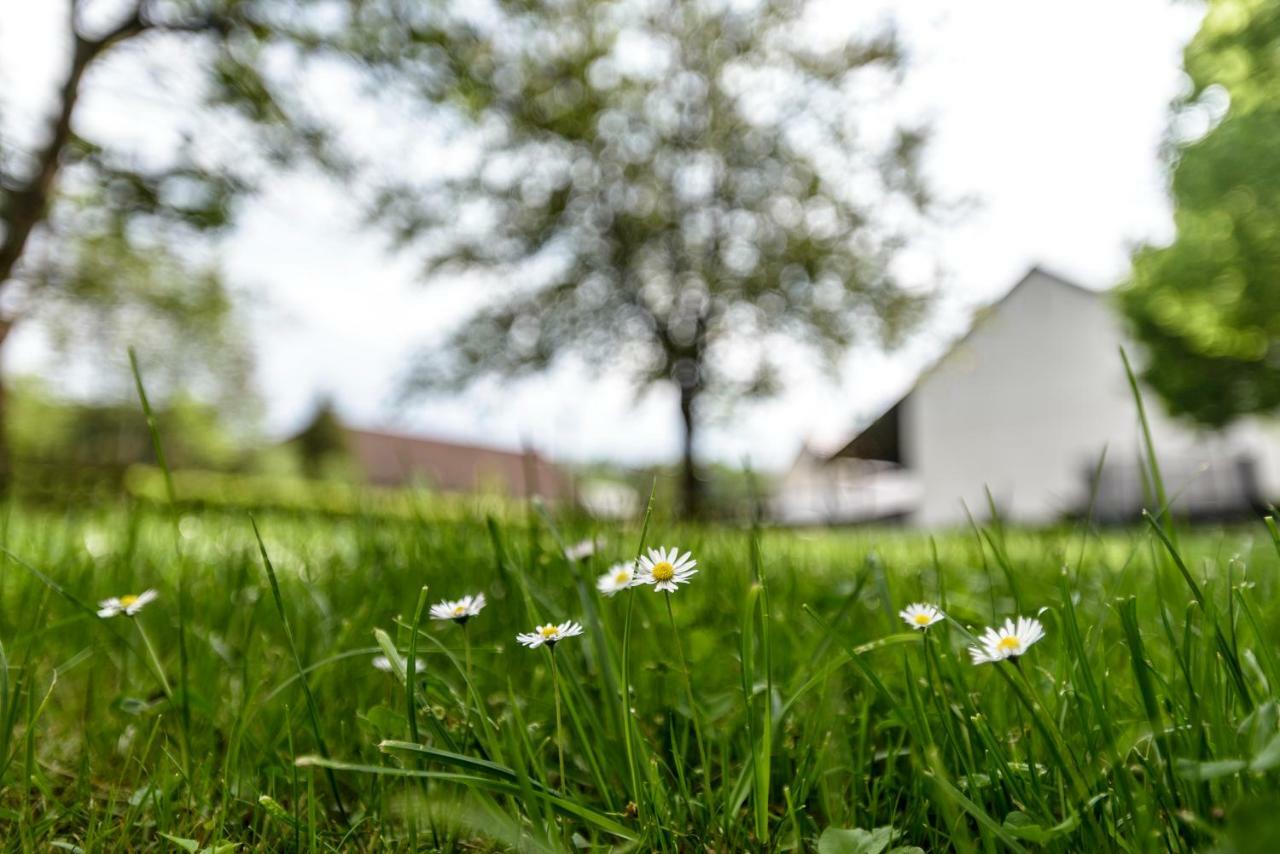 Nengshof Ferienwohnung Wildrose Wißmannsdorf Esterno foto