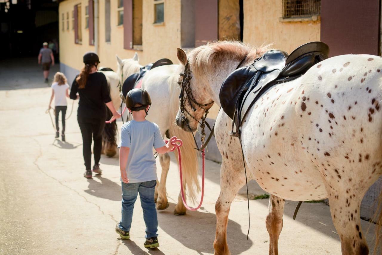 Nengshof Ferienwohnung Wildrose Wißmannsdorf Esterno foto